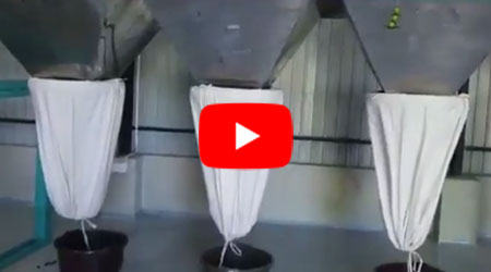 Full line 2 stage Chilly grinding plant