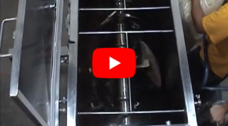 Paddle Ribbon Blender Mixing Vegetables