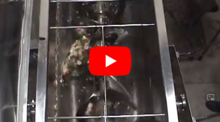 Paddle Ribbon Blender Mixing Vegetables1